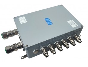 СКМ-15.233311-Ех іа-(60/2,5)bl-(2/2,5)-2(B)/25E1FX1RA5.....